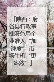 陕西：府谷县行政审批服务局企业准入“加速度” 市场生机“更盎然”